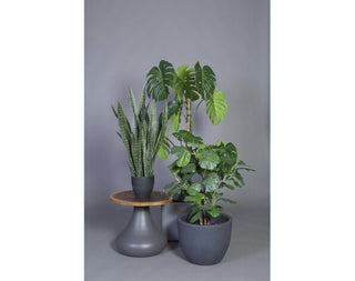 Artificial Plants - kunstplanten