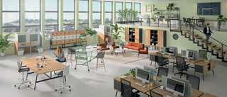 Coccinelle high