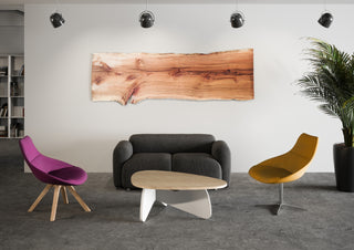 Buronomic Galet coffee table in white and Nebraska