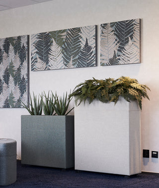 Plant Divider