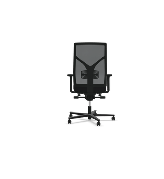 Rovo R16 3030 S5 office chair with black mesh back, back view