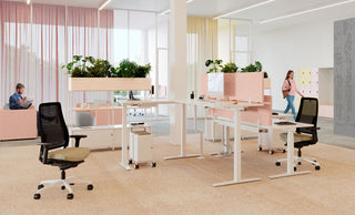 TALO YOU Desk